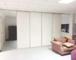 Room Dividing Door Elite Profiled Wood